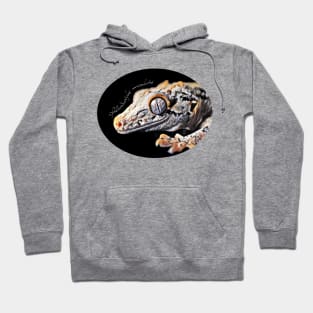 Gargoyle gecko with scientific name Hoodie